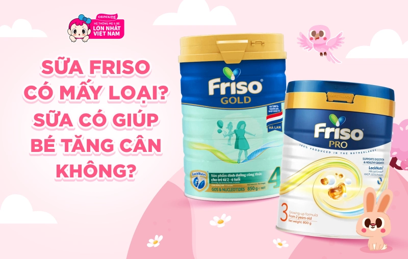 Frisomum Gold - Nhóm dưỡng chất hỗ trợ mẹ trong thai kỳ