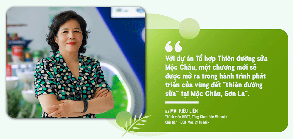 Cách làm sữa hạt tại nhà không bị tách nước - Vì sao sữa hạt dễ bị phân lớp?