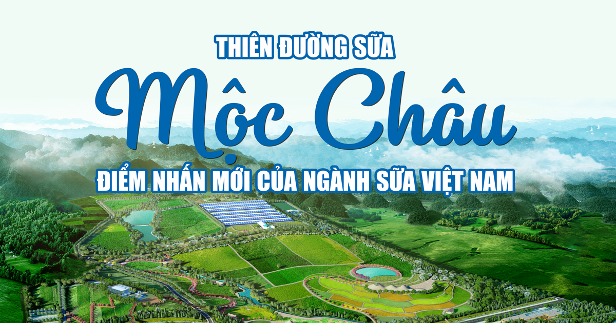 Cách làm sữa hạt tại nhà không bị tách nước - Tỷ lệ hạt và nước chưa hợp lý