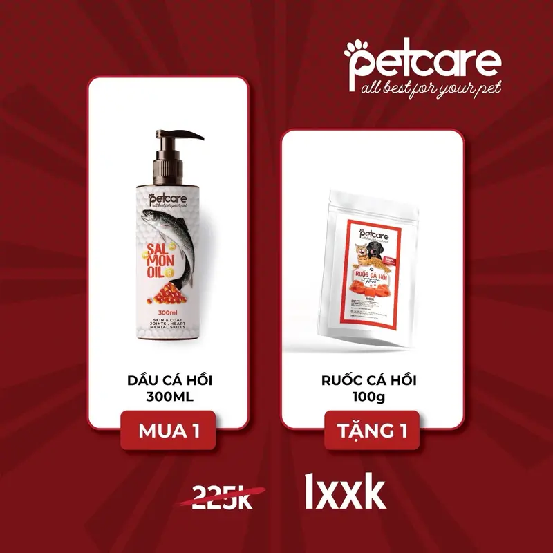 Wincat - Nguồn gốc và định vị sản phẩm