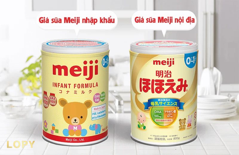 Meiji - Nguồn gốc và đặc điểm chung