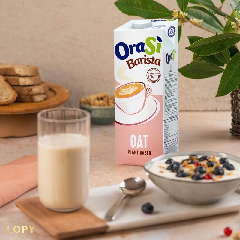 Sữa yến mạch Alpro - Tổng quan về dòng đồ uống yến mạch của Alpro