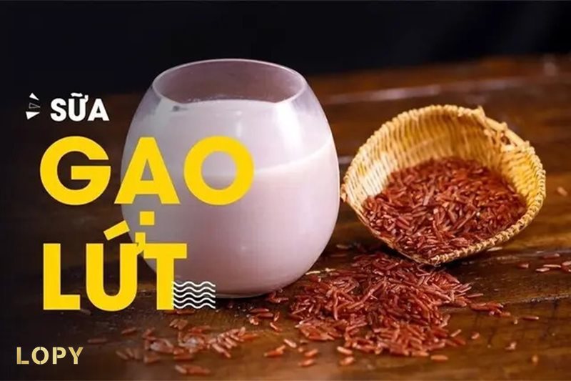 Sữa gạo lứt huyết rồng - Nguyên liệu cơ bản cho khoảng 1 lít sữa