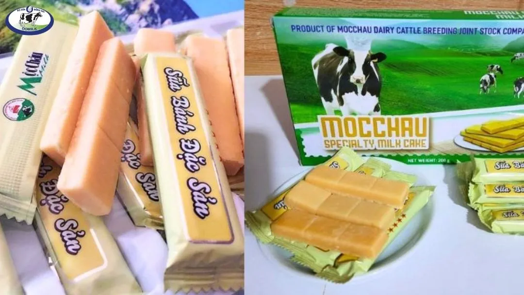 Chính Sách - Chính Sách và mục đích áp dụng trên website