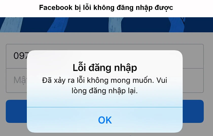 Đăng nhập fb - Dùng ứng dụng Facebook