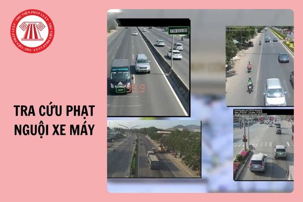 Biển số xe bị phạt nguội - Tra cứu bằng ứng dụng điện thoại và kênh online khác