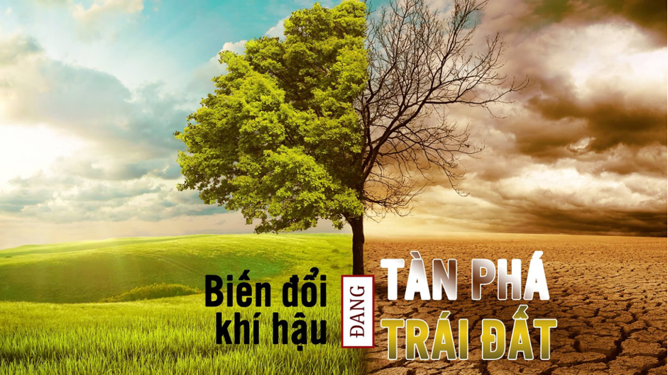 Tiến trình biến đổi khí hậu - Nhóm giải pháp nên ưu tiên