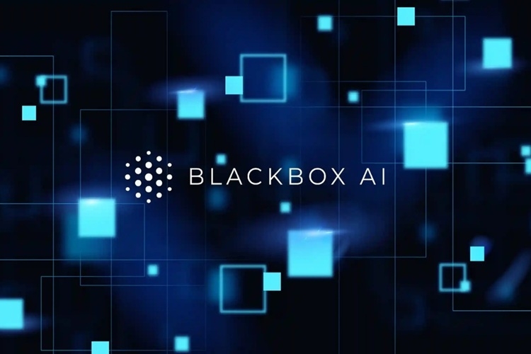Blackbox ai - Giải thích và sửa lỗi