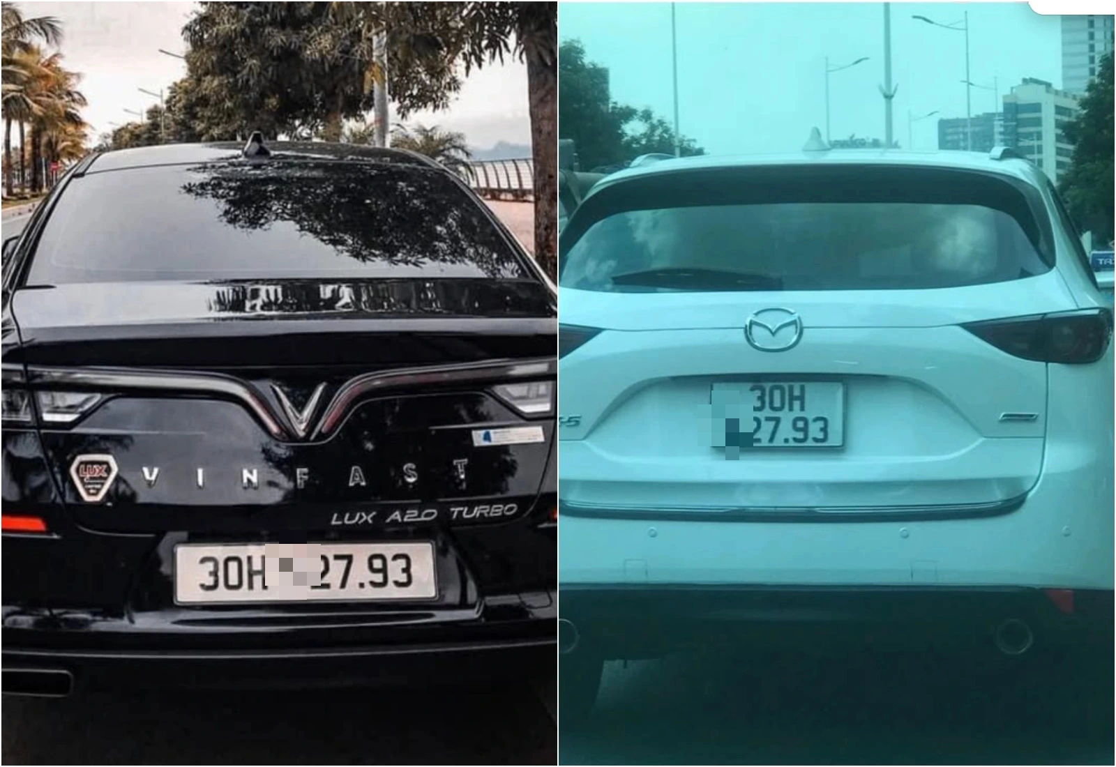 Biển số xe bị phạt nguội - Các bước thực hiện cơ bản
