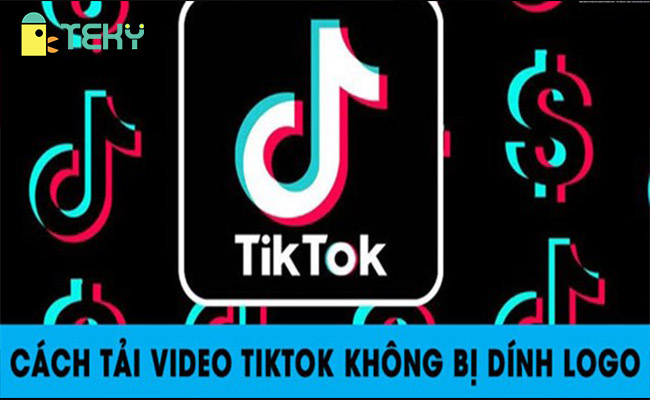 Tải video TikTok không logo - Cách Tải video tiktok không logo bằng máy tính