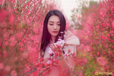 Tạo ảnh đẹp - Xác định chủ thể chính