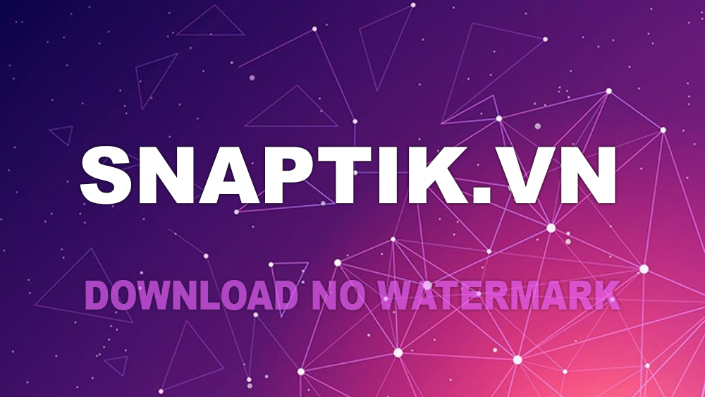 Snaptiktok - Cách tải video TikTok không logo bằng Snaptiktok trên điện thoại Snaptiktok - Cách tải video TikTok không logo bằng Snaptiktok trên điện thoại