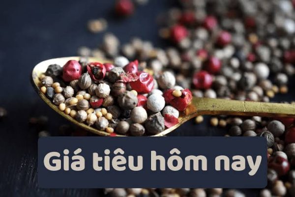 Những yếu tố quyết định giá tiêu trong những tháng cuối năm